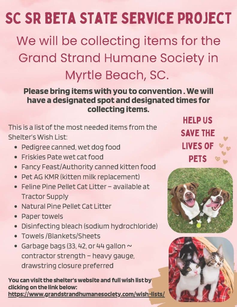 SC SR Beta State Service Project Flyer