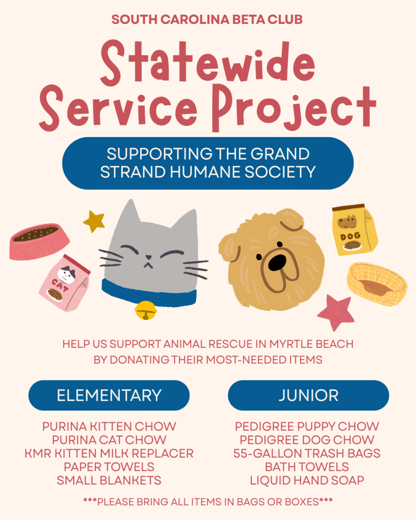 Statewide Service Project