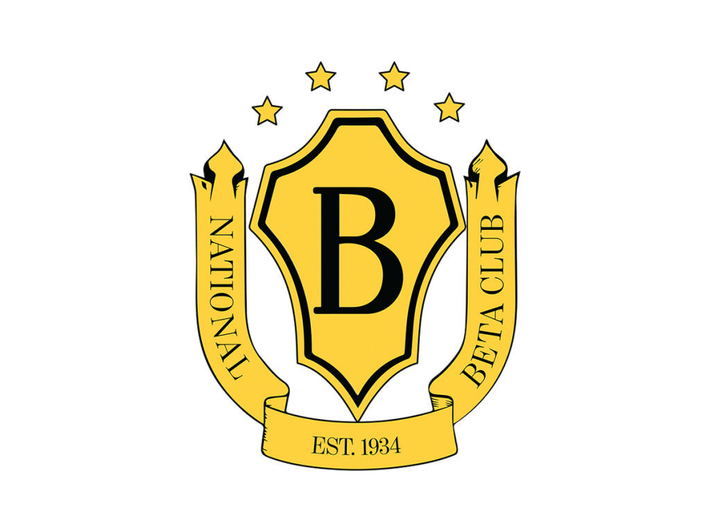 beta insignia x padded