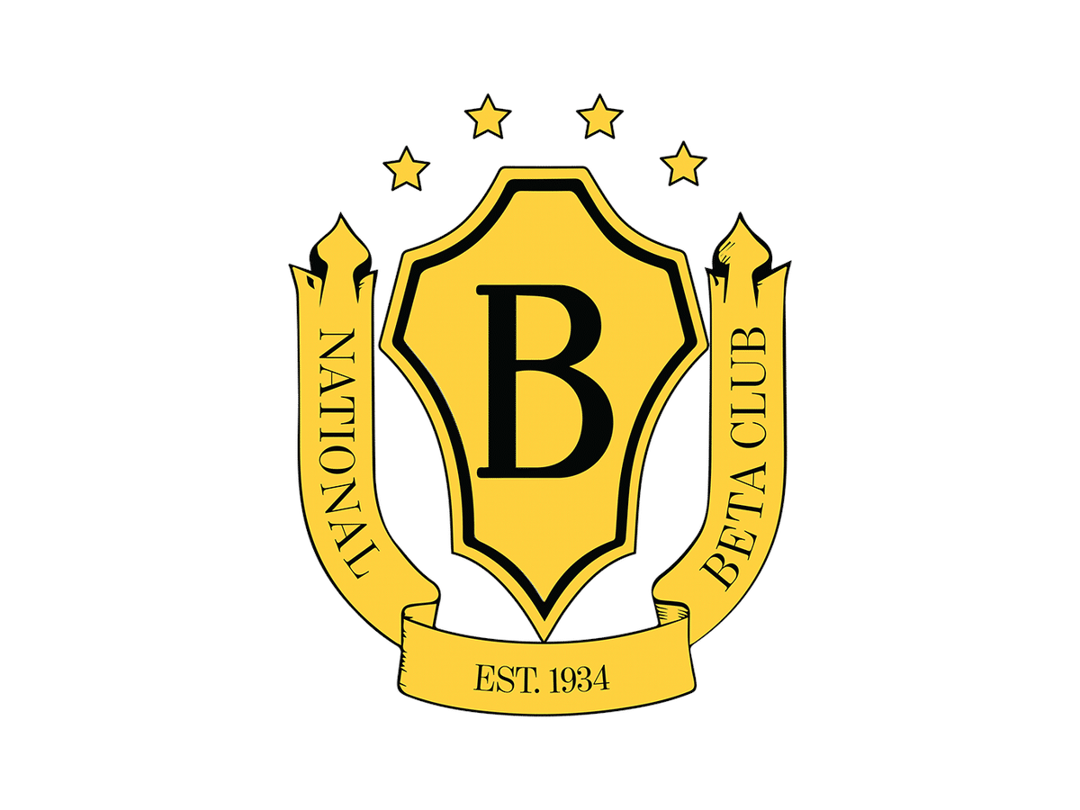 beta insignia x padded